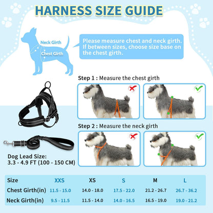 No Pull Small Dog Harness and Leash Set with Front Clip
