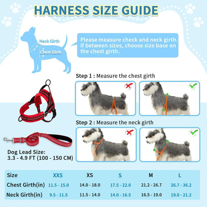 No Pull Small Dog Harness and Leash Set with Front Clip