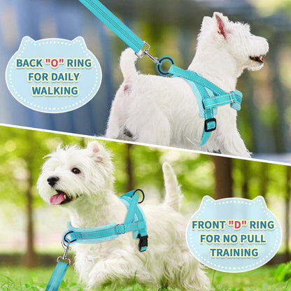 No Pull Small Dog Harness and Leash Set with Front Clip