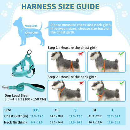 No Pull Small Dog Harness and Leash Set with Front Clip