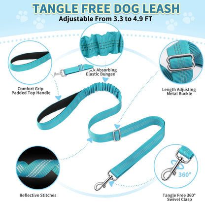 No Pull Small Dog Harness and Leash Set with Front Clip
