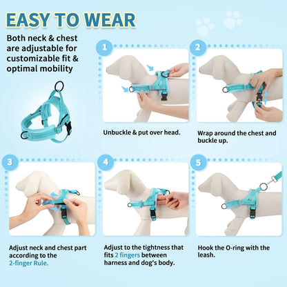 No Pull Small Dog Harness and Leash Set with Front Clip