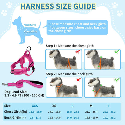 No Pull Small Dog Harness and Leash Set with Front Clip