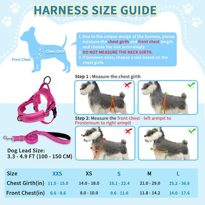 No Pull Small Dog Harness and Leash Set with Front Clip
