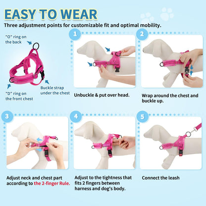 No Pull Small Dog Harness and Leash Set with Front Clip