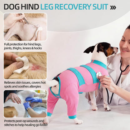 Dog Recovery Suit, Spay/Neuter Surgery Onesie for Dogs, Pink, XL