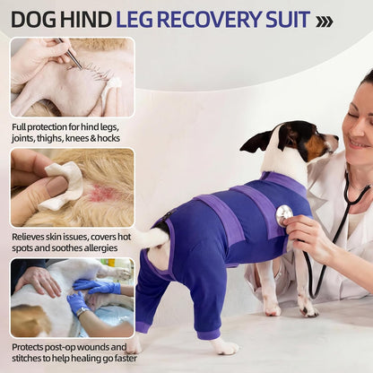 Dog Recovery Suit, Spay/Neuter Surgery Onesie for Dogs, Pink, XL