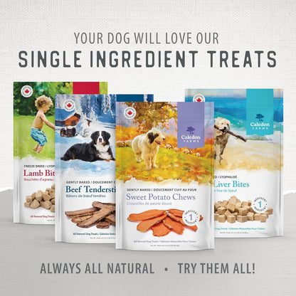 Sweet Potato Chews for Dogs 9.3 OZ