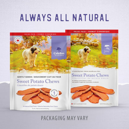 Sweet Potato Chews for Dogs 9.3 OZ