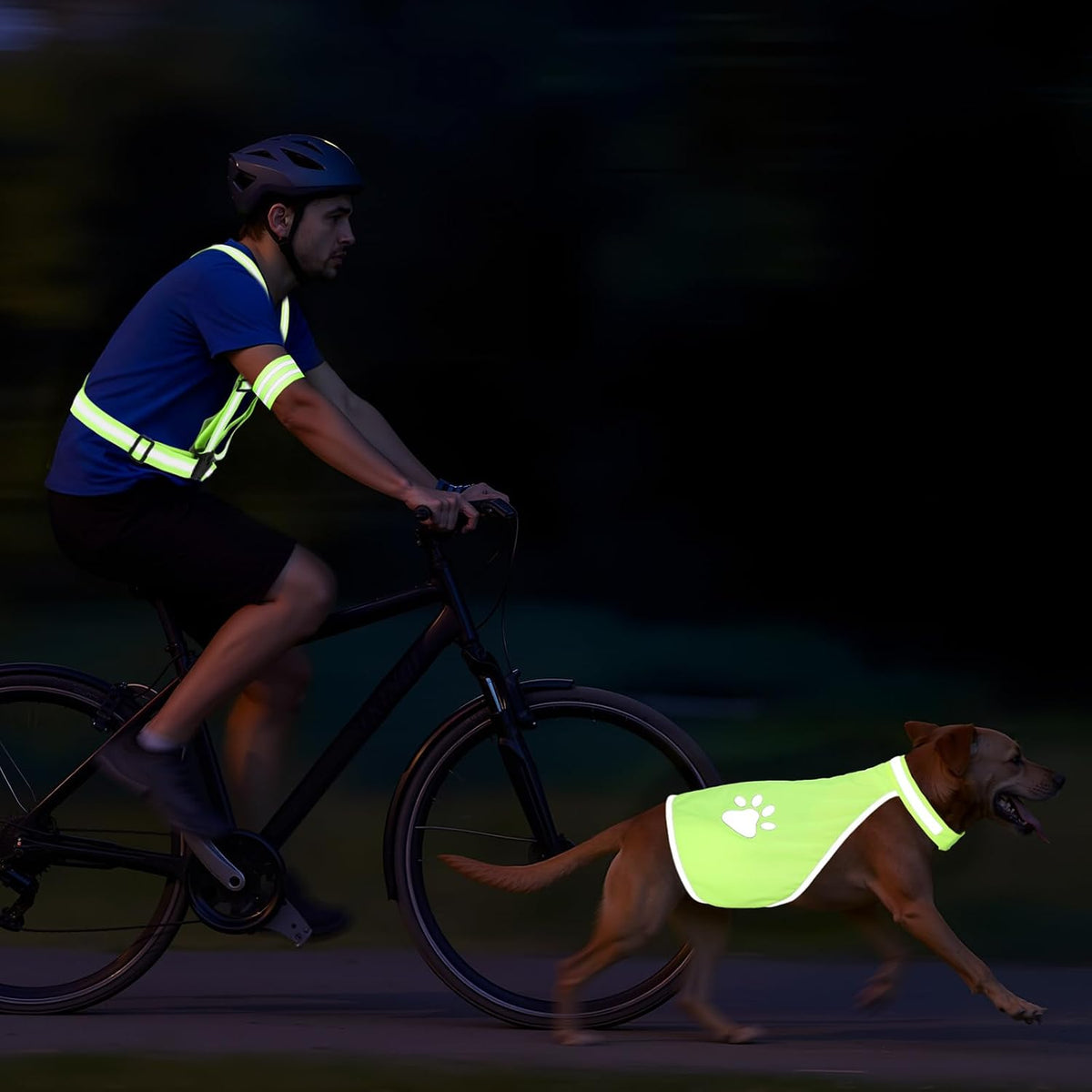 4 Pcs Reflective Running Gear for Dog Walking Reflective Vest Adjustable High Visibility, Sports Wristbands, Dog Safety Vest for Pets Outdoor Walking Cycling Camping(Fluorescent Green)