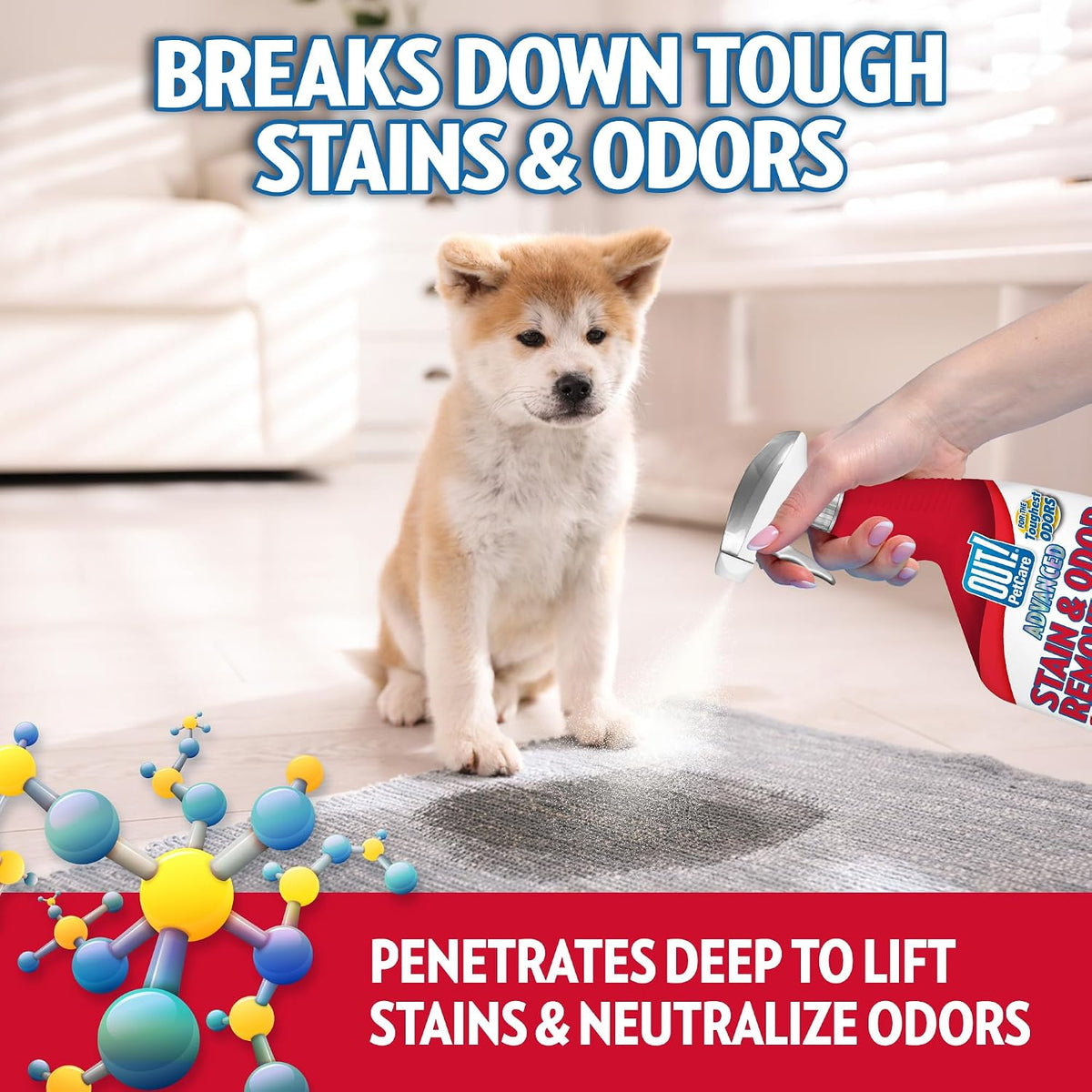 ! PetCare Pet Stain & Odor Remover, Carpet Cleaner, 32oz (2 Pack)