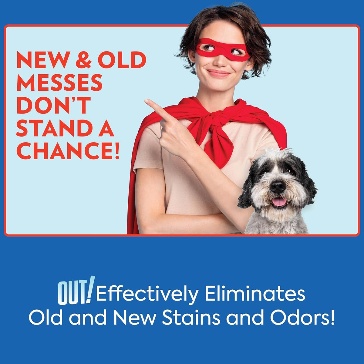 ! PetCare Pet Stain & Odor Remover, Carpet Cleaner, 32oz (2 Pack)