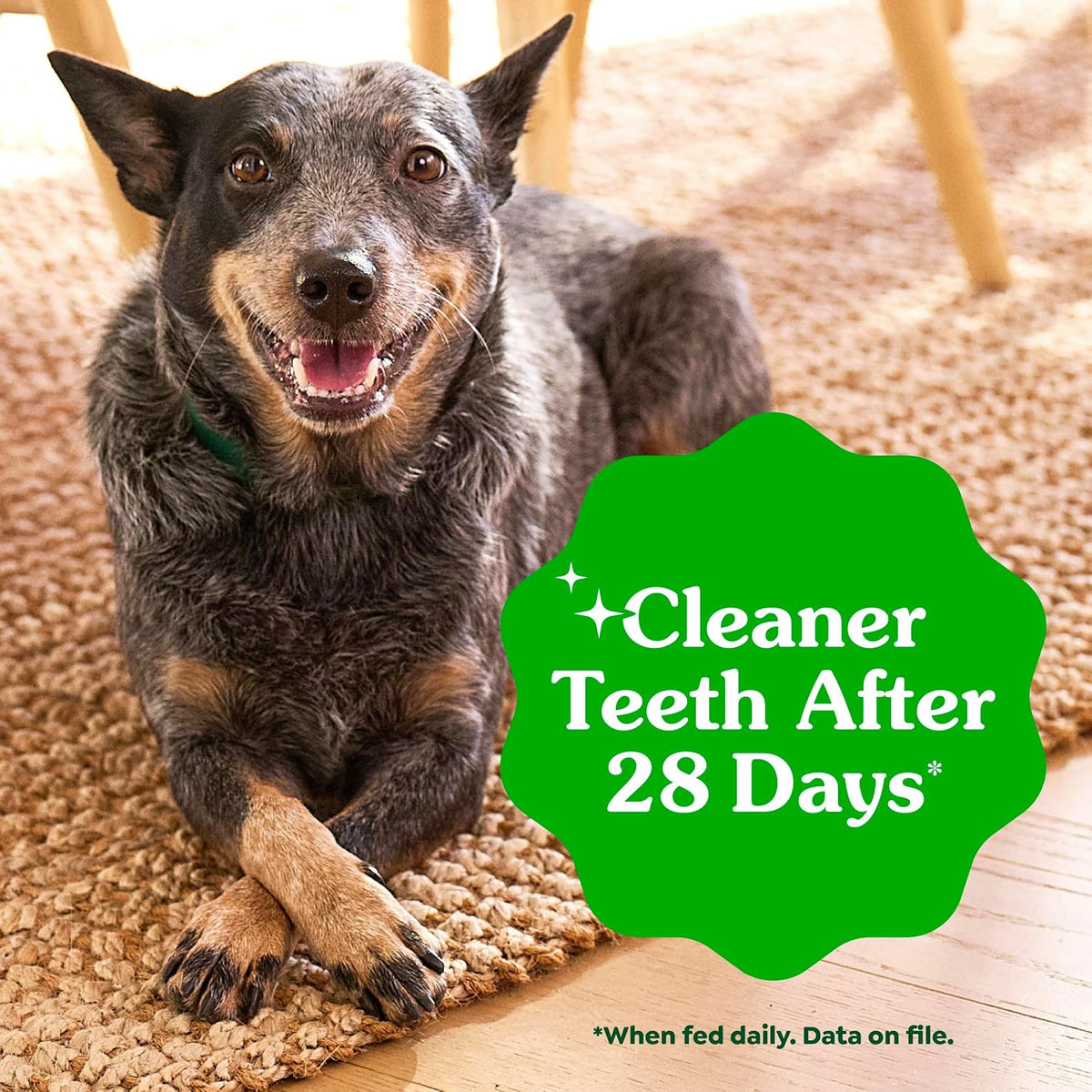 Large Natural Dental Dog Treats, Original Flavor