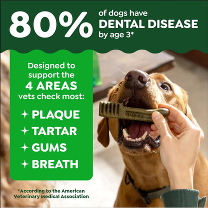 Large Natural Dental Dog Treats, Original Flavor