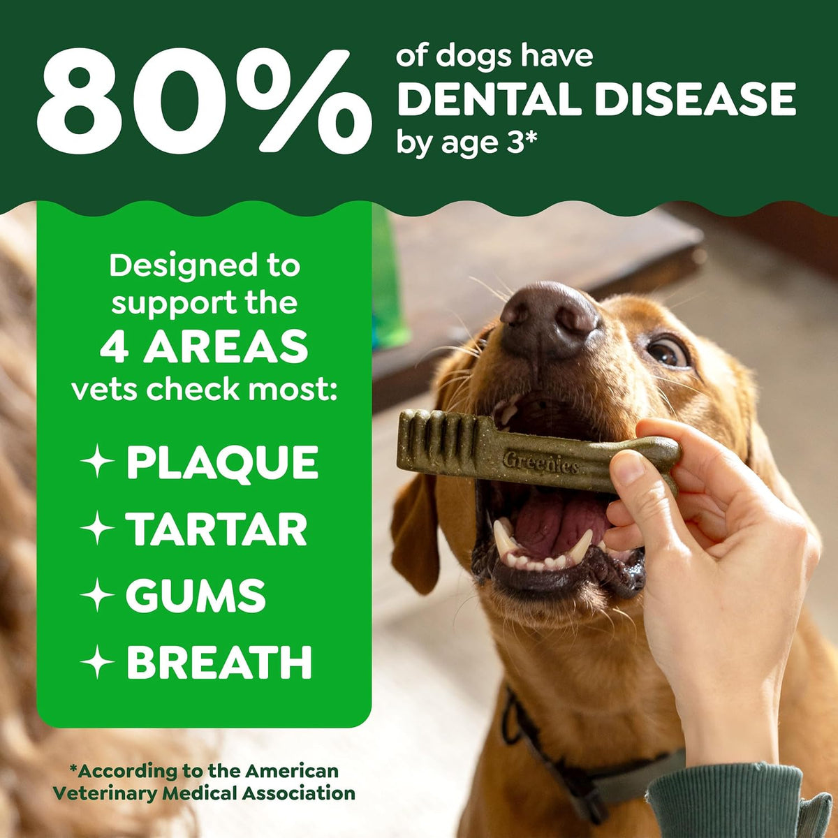 Large Natural Dental Dog Treats, Original Flavor