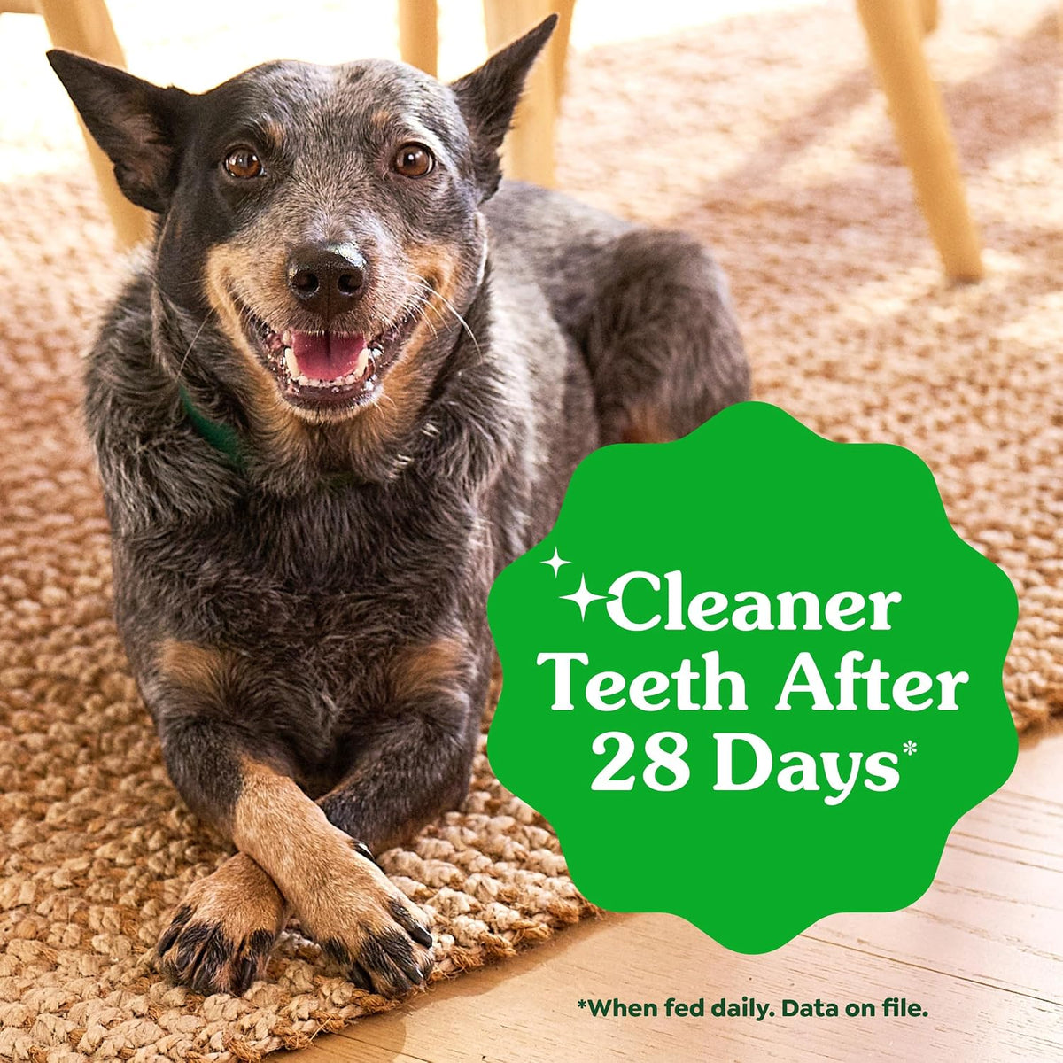 Large Natural Dental Dog Treats, Original Flavor