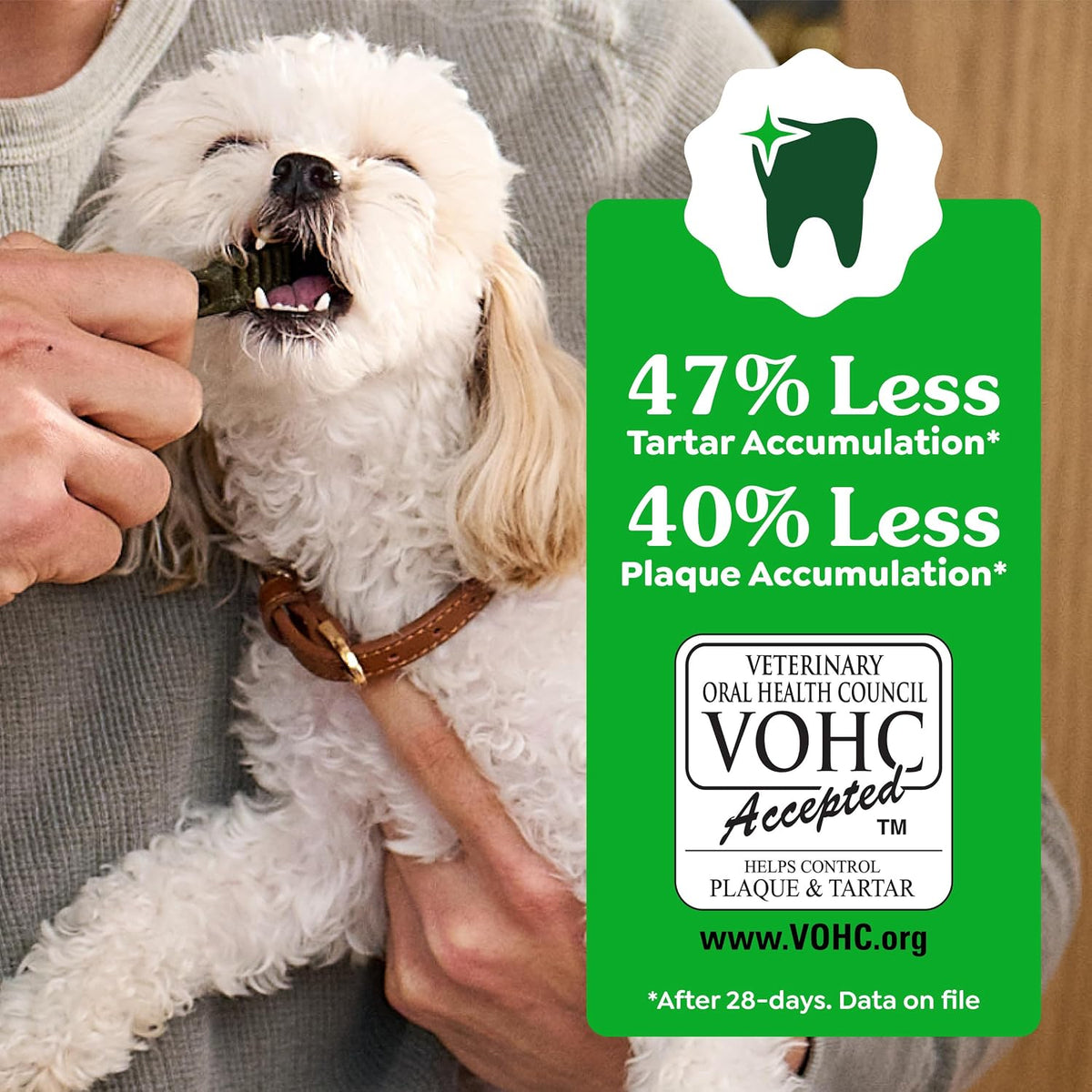 Large Natural Dental Dog Treats, Original Flavor