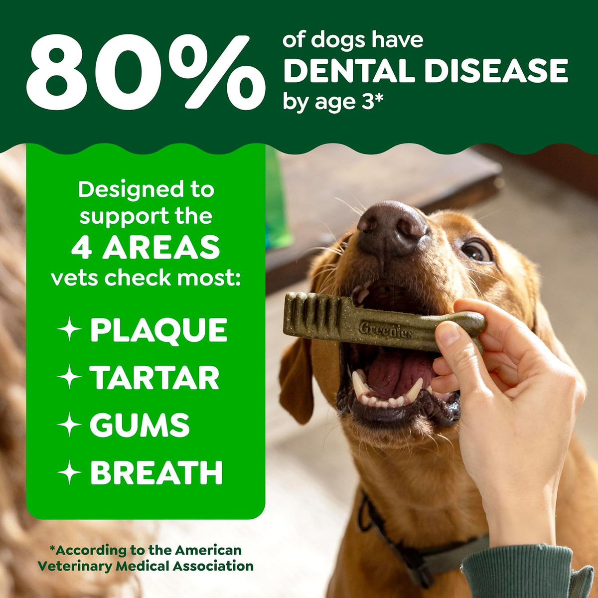 Large Natural Dental Dog Treats, Original Flavor