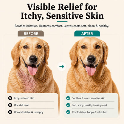 Sensitive Skin Dog Shampoo – Hypoallergenic Oatmeal Anti Itch Shampoo for Dogs, Gentle Puppy & Dog Wash with Aloe Vera, Manuka Honey & Chamomile, Odor Control, 12 oz
