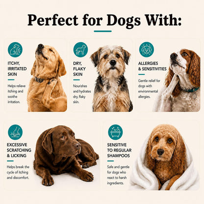 Sensitive Skin Dog Shampoo – Hypoallergenic Oatmeal Anti Itch Shampoo for Dogs, Gentle Puppy & Dog Wash with Aloe Vera, Manuka Honey & Chamomile, Odor Control, 12 oz