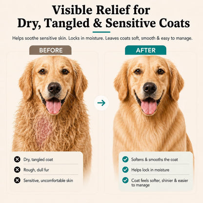 Sensitive Skin Dog Shampoo – Hypoallergenic Oatmeal Anti Itch Shampoo for Dogs, Gentle Puppy & Dog Wash with Aloe Vera, Manuka Honey & Chamomile, Odor Control, 12 oz