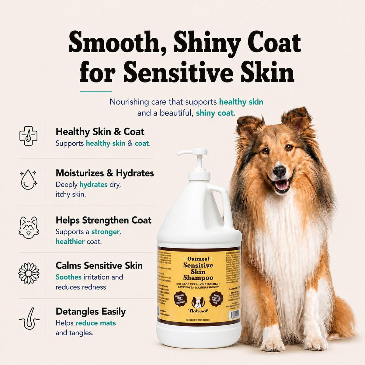 Sensitive Skin Dog Shampoo – Hypoallergenic Oatmeal Anti Itch Shampoo for Dogs, Gentle Puppy & Dog Wash with Aloe Vera, Manuka Honey & Chamomile, Odor Control, 12 oz
