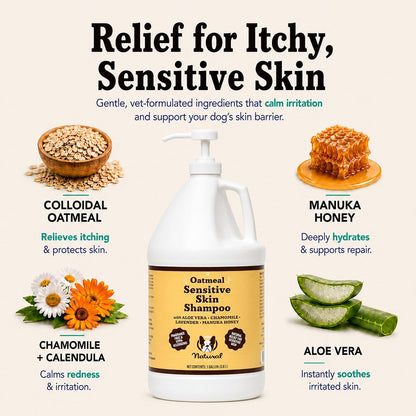 Sensitive Skin Dog Shampoo – Hypoallergenic Oatmeal Anti Itch Shampoo for Dogs, Gentle Puppy & Dog Wash with Aloe Vera, Manuka Honey & Chamomile, Odor Control, 12 oz