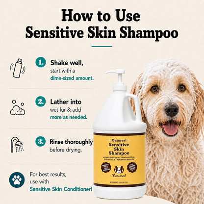 Sensitive Skin Dog Shampoo – Hypoallergenic Oatmeal Anti Itch Shampoo for Dogs, Gentle Puppy & Dog Wash with Aloe Vera, Manuka Honey & Chamomile, Odor Control, 12 oz