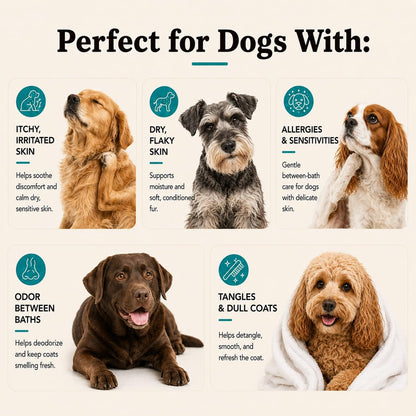 Sensitive Skin Dog Shampoo – Hypoallergenic Oatmeal Anti Itch Shampoo for Dogs, Gentle Puppy & Dog Wash with Aloe Vera, Manuka Honey & Chamomile, Odor Control, 12 oz
