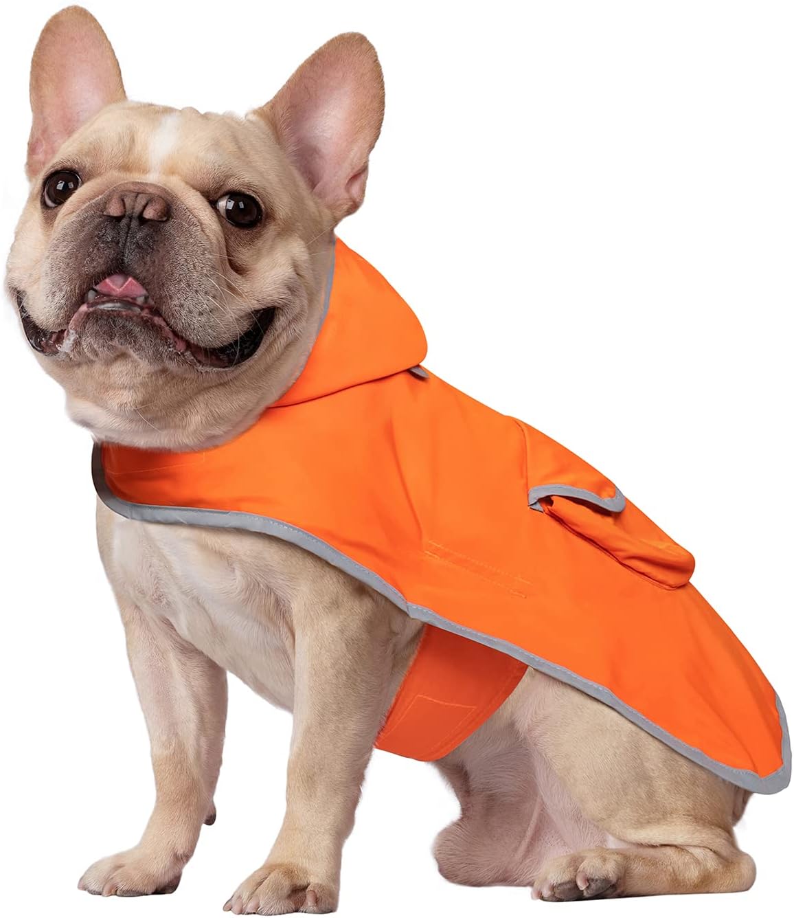 2-in-1 Reversible Dog Raincoat Hooded Poncho Rain Jacket Teal Dino L