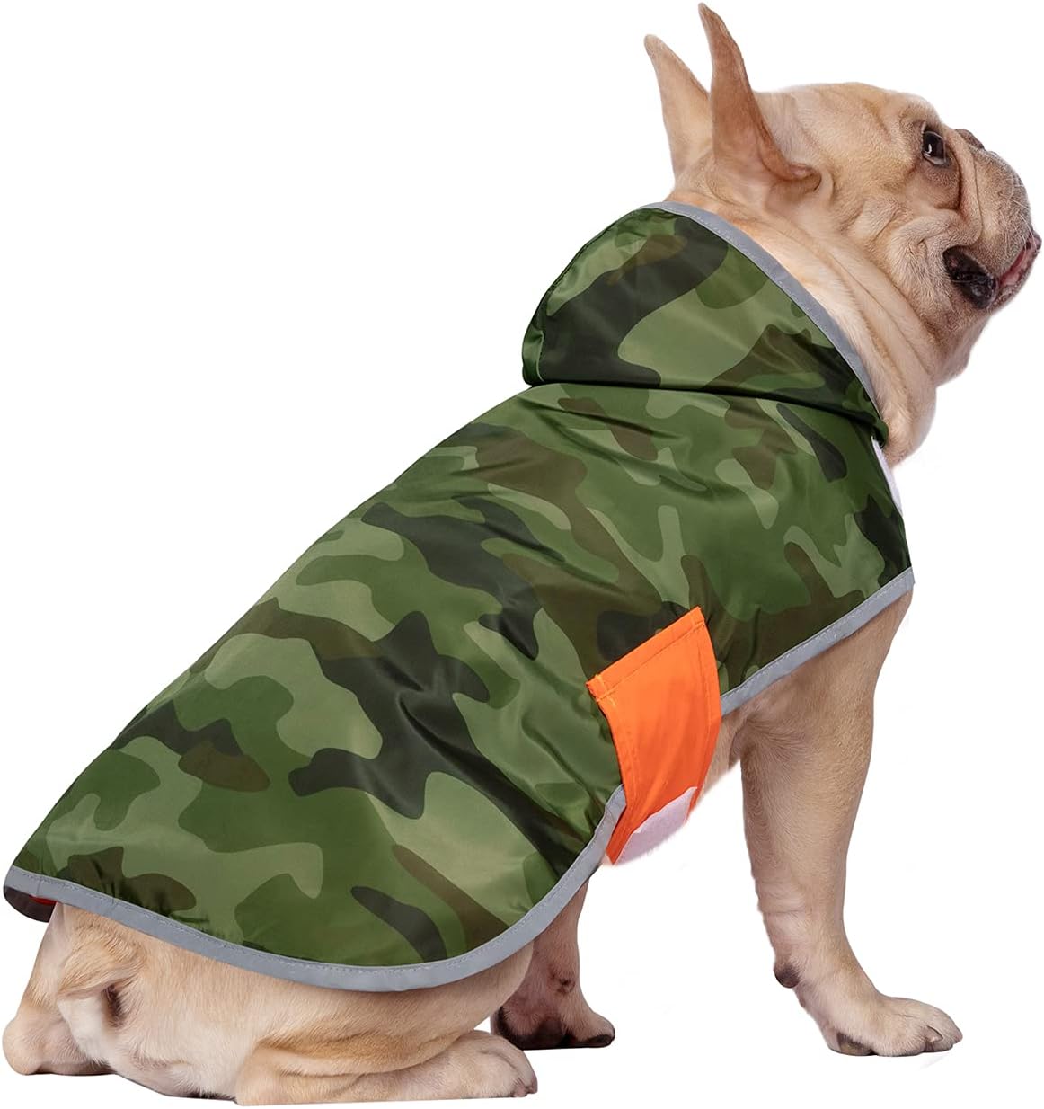2-in-1 Reversible Dog Raincoat Hooded Poncho Rain Jacket Teal Dino L