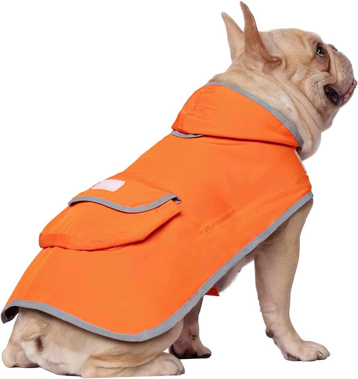 2-in-1 Reversible Dog Raincoat Hooded Poncho Rain Jacket Teal Dino L
