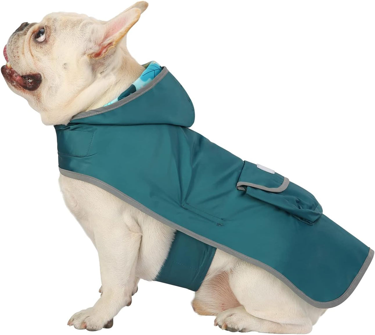2-in-1 Reversible Dog Raincoat Hooded Poncho Rain Jacket Teal Dino L