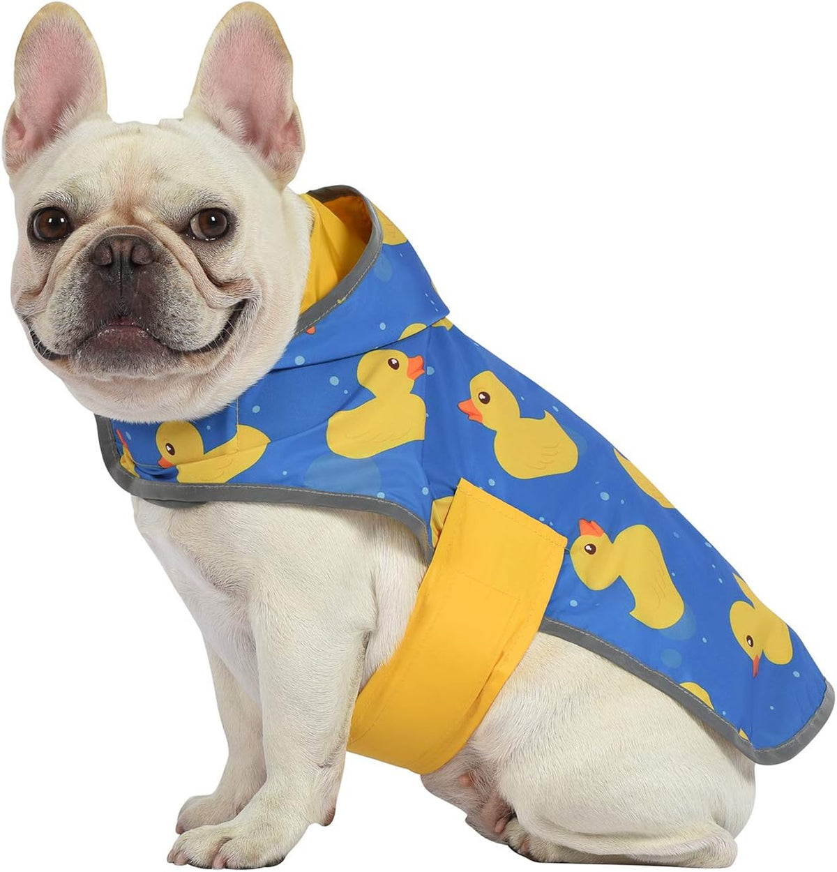 2-in-1 Reversible Dog Raincoat Hooded Poncho Rain Jacket Teal Dino L