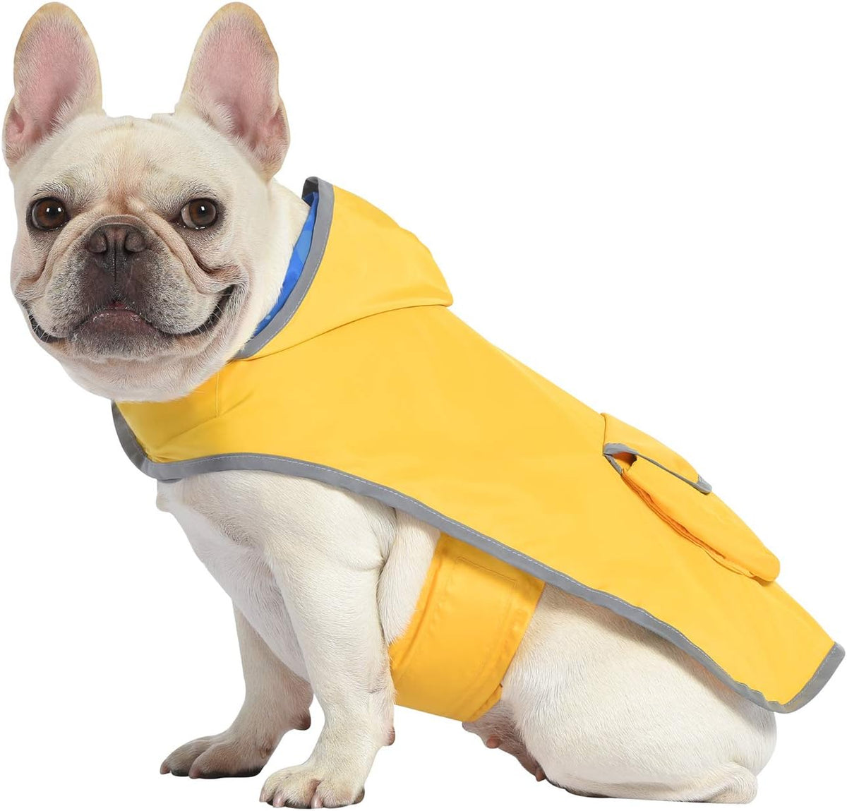 2-in-1 Reversible Dog Raincoat Hooded Poncho Rain Jacket Teal Dino L