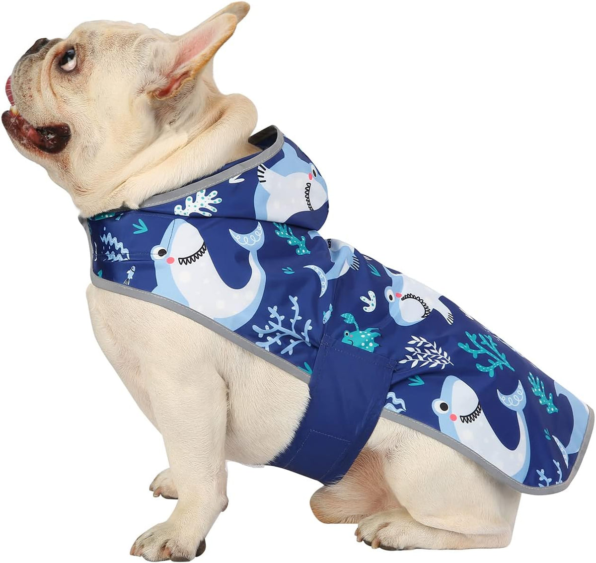 2-in-1 Reversible Dog Raincoat Hooded Poncho Rain Jacket Teal Dino L