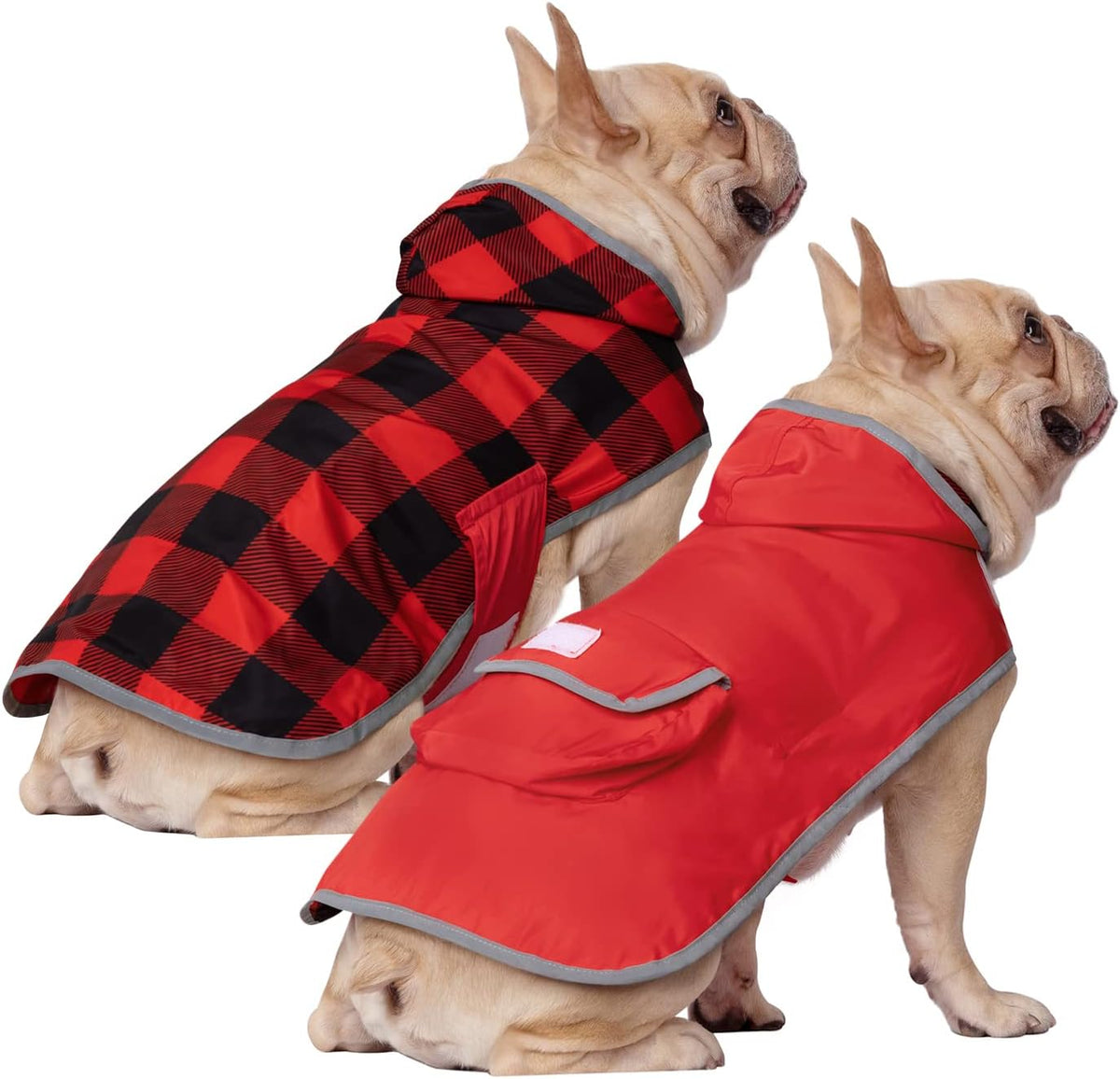 2-in-1 Reversible Dog Raincoat Hooded Poncho Rain Jacket Teal Dino L