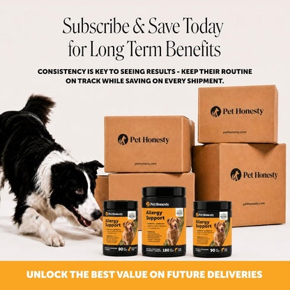 Dog Allergy Chews for Itch & Allergy Relief, Salmon