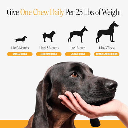 Dog Allergy Chews for Itch & Allergy Relief, Salmon