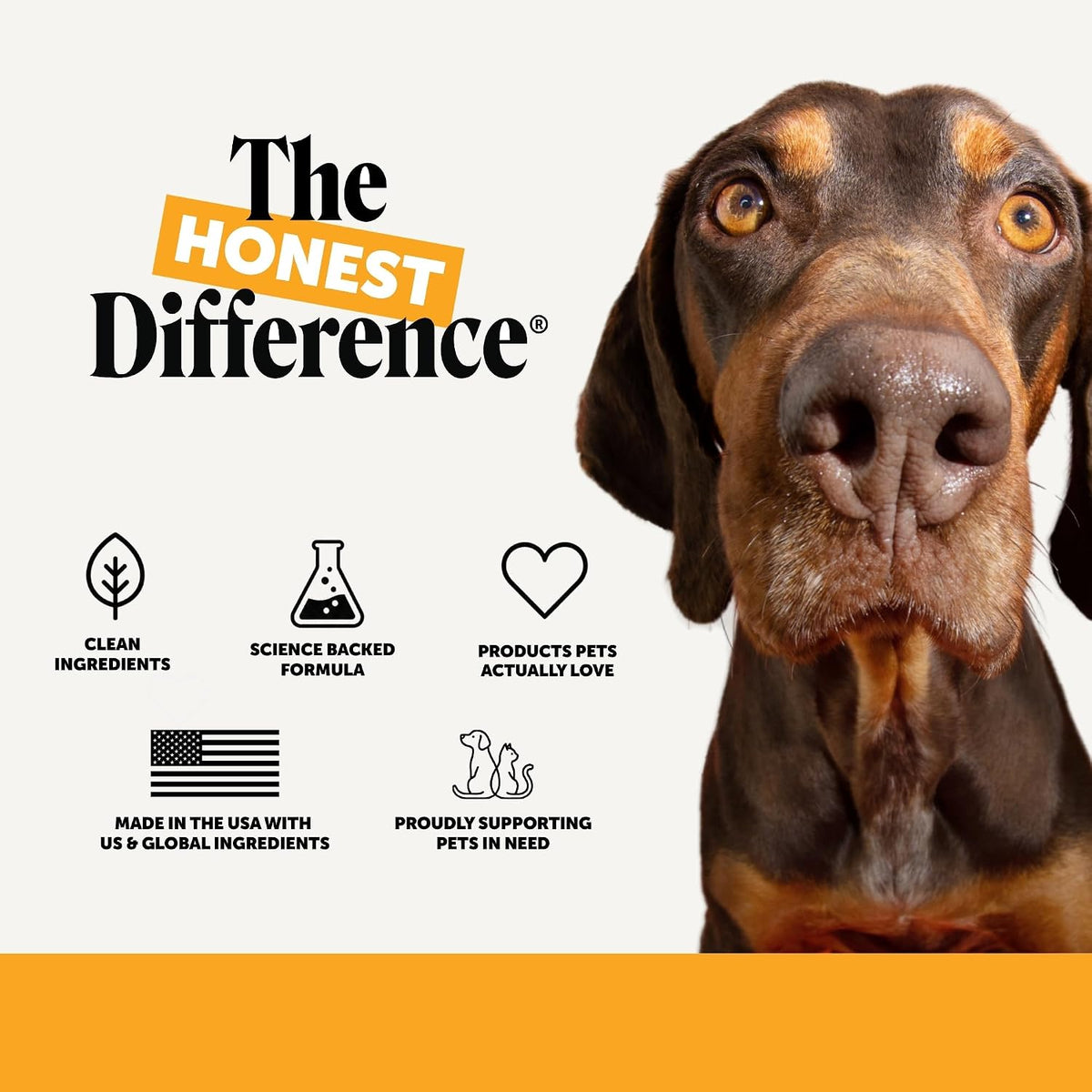Dog Allergy Chews for Itch & Allergy Relief, Salmon