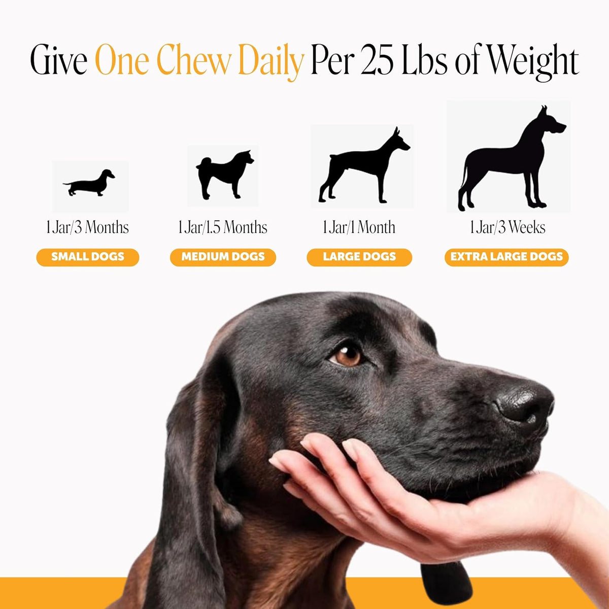 Dog Allergy Chews for Itch & Allergy Relief, Salmon