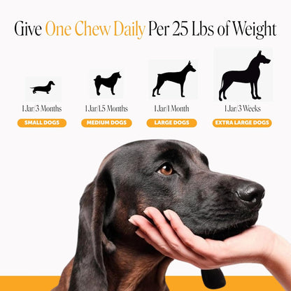 Dog Allergy Chews for Itch & Allergy Relief, Salmon