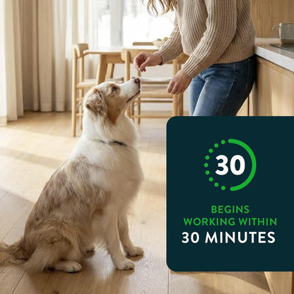 for Dogs (nitenpyram), Fast-Acting Oral Flea Treatment for Dogs Over 25+ lbs, Vet-Recommended Flea Medication Tablets Start Killing in 30 Minutes, 6 Doses