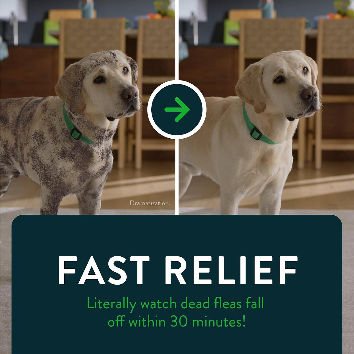 for Dogs (nitenpyram), Fast-Acting Oral Flea Treatment for Dogs Over 25+ lbs, Vet-Recommended Flea Medication Tablets Start Killing in 30 Minutes, 6 Doses