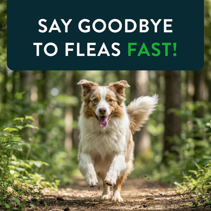for Dogs (nitenpyram), Fast-Acting Oral Flea Treatment for Dogs Over 25+ lbs, Vet-Recommended Flea Medication Tablets Start Killing in 30 Minutes, 6 Doses