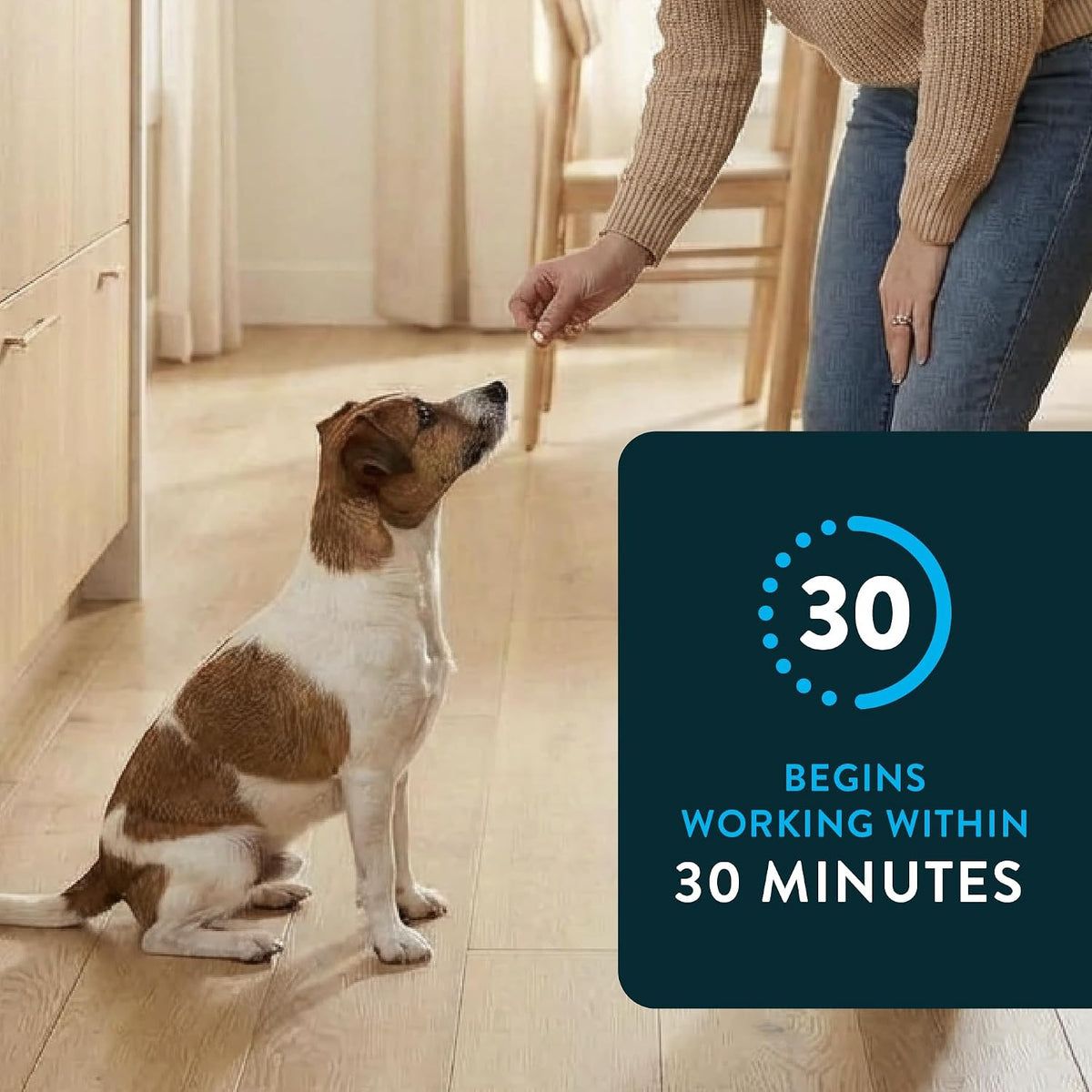 for Dogs (nitenpyram), Fast-Acting Oral Flea Treatment for Dogs Over 25+ lbs, Vet-Recommended Flea Medication Tablets Start Killing in 30 Minutes, 6 Doses