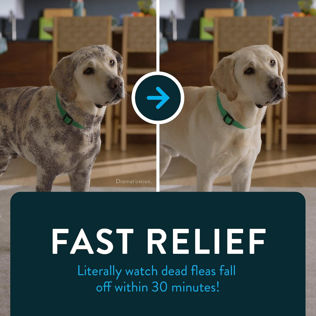 for Dogs (nitenpyram), Fast-Acting Oral Flea Treatment for Dogs Over 25+ lbs, Vet-Recommended Flea Medication Tablets Start Killing in 30 Minutes, 6 Doses