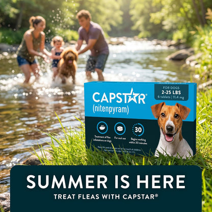 for Dogs (nitenpyram), Fast-Acting Oral Flea Treatment for Dogs Over 25+ lbs, Vet-Recommended Flea Medication Tablets Start Killing in 30 Minutes, 6 Doses