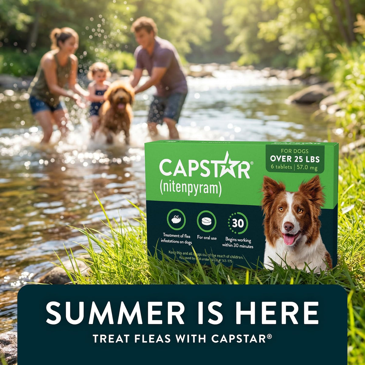 for Dogs (nitenpyram), Fast-Acting Oral Flea Treatment for Dogs Over 25+ lbs, Vet-Recommended Flea Medication Tablets Start Killing in 30 Minutes, 6 Doses