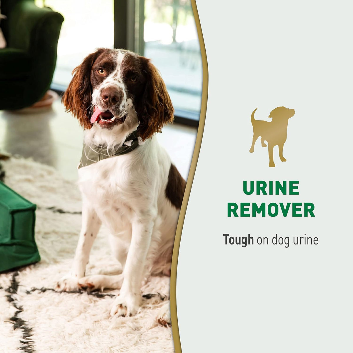 Dog Urine Remover, Enzymatic Cleaner, 24 oz